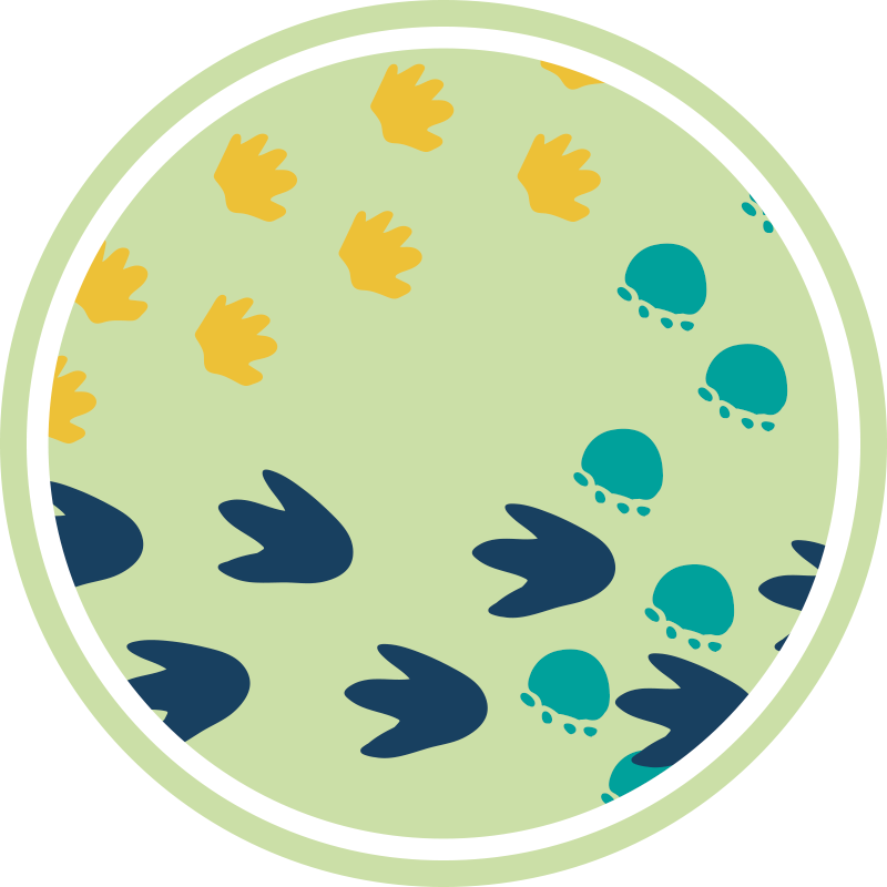 Dinosauri otisci stopala za bebe - TenStickers