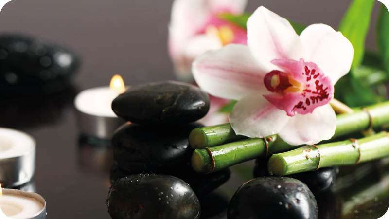 Vinil podovi priroda orhideja spokoj - TenStickers