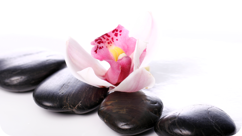 Vinil podovi priroda elegantni cvjetni mir - TenStickers