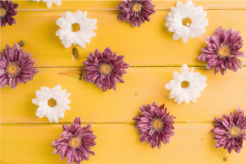 Vinil podovi cvijeće i biljke ružičaste i bijele latice - TenStickers