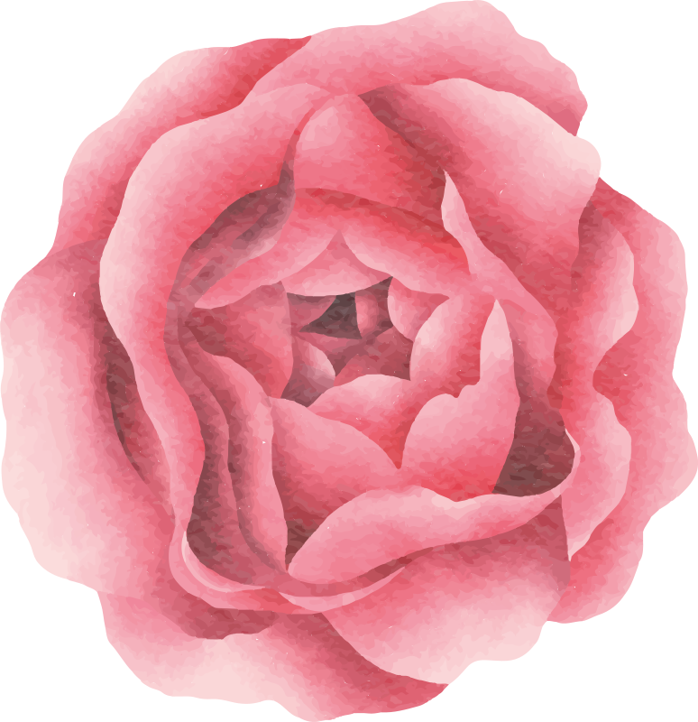 Vinil podovi cvijeće i biljke rumenilo ružičasti cvjet - TenStickers