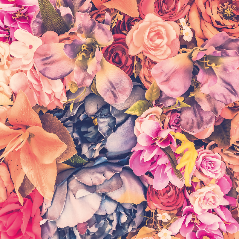 šareno cvijeće cvjetni sag - TenStickers