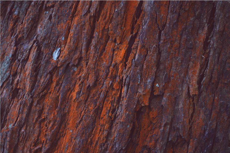 Vinil podovi efekt drva rustikalna kora - TenStickers