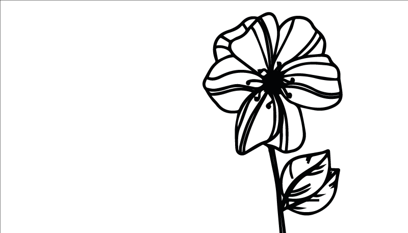 Vinil podovi cvijeće i biljke elegantan crno-bijeli dizajn - TenStickers