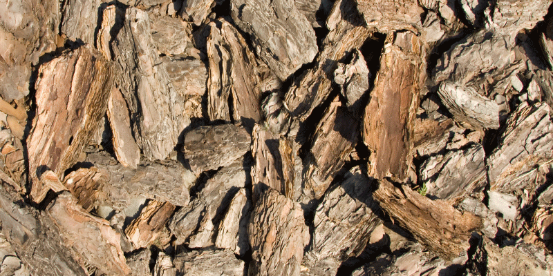 Vinil podovi efekt drva dizajn prirodne kore - TenStickers