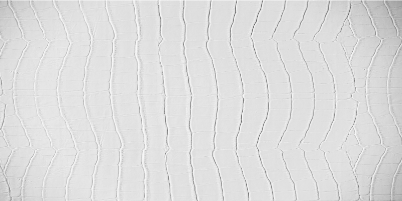 Vinil podovi otisak životinja elegantni krokodil - TenStickers