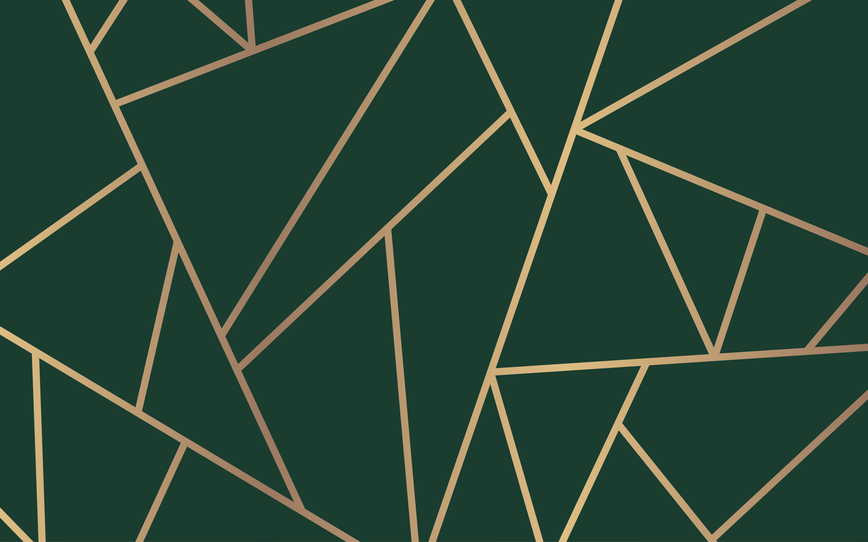 Zlatne linije boca zelena pozadina moderni tepih - TenStickers