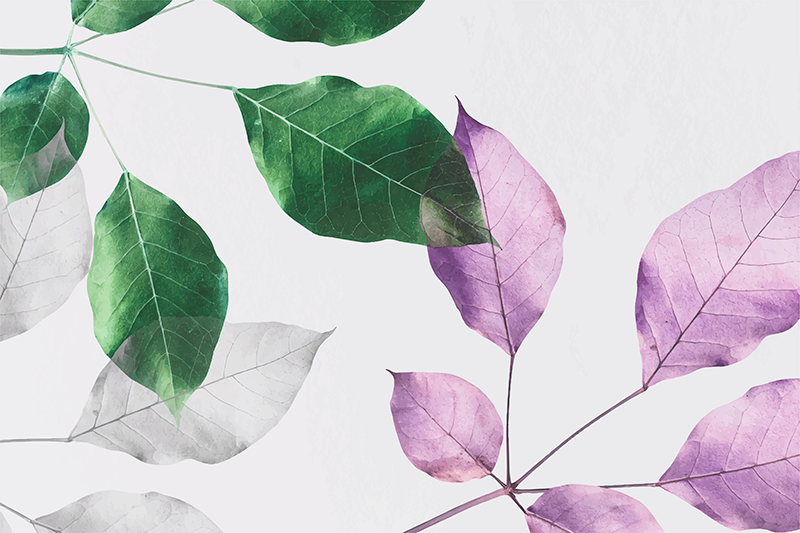 Vinil podovi cvijeće i biljke lisnati botanički otisci - TenStickers