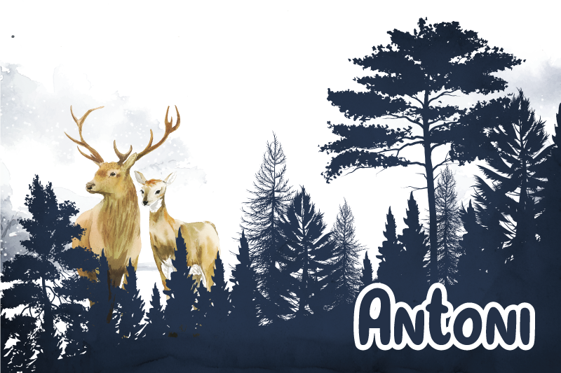 Vinil podovi s imenima šumska fauna silueta - TenStickers