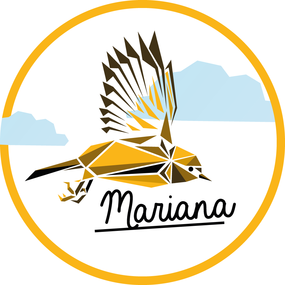 Vinil podovi s imenima personalizirana ptica - TenStickers