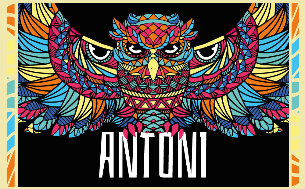 Vinil podovi s imenima prilagodba šarene sove - TenStickers