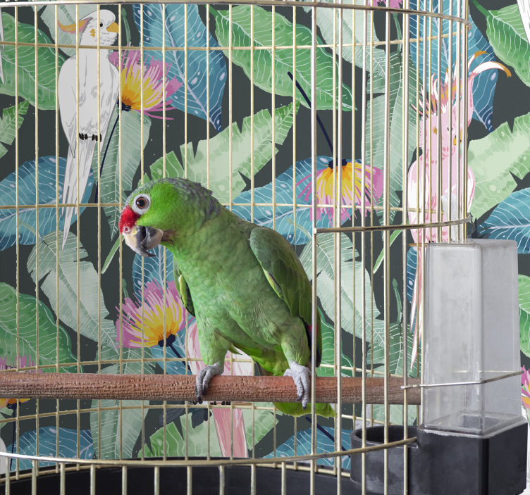 Tapete za zid Ptice ptice tropskog područja i lišće - TenStickers